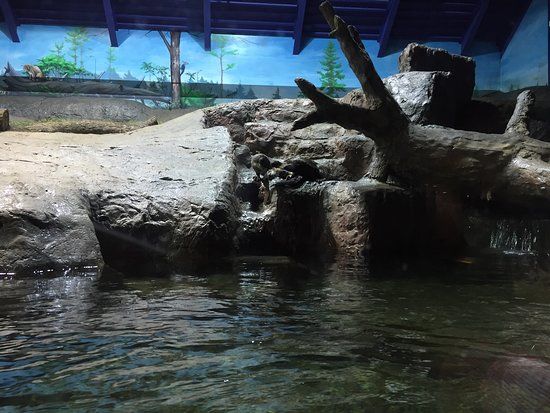 Aquatarium at Tall Ships Landing